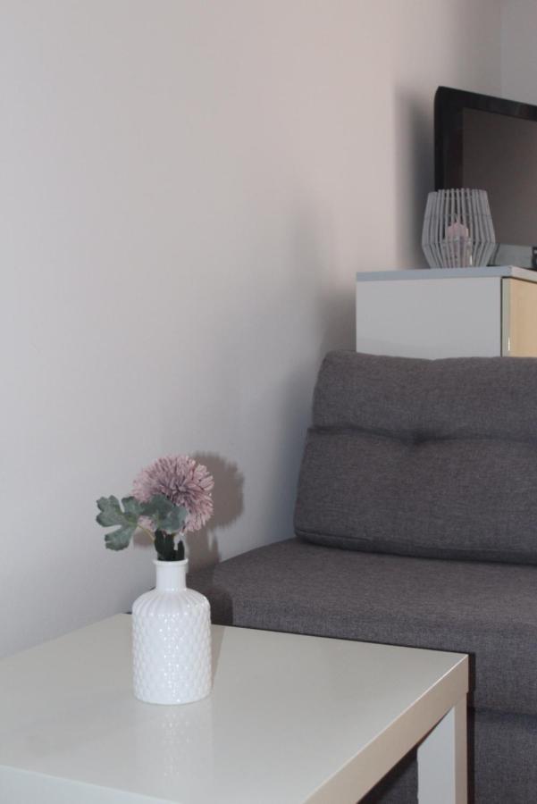 Studio Apartman Ivano Apartment Dakovo Exterior photo